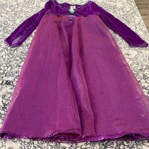 Purple Shimmer with Velvet Detail Long Sleeve Disney Princess Elsa Costume Dress